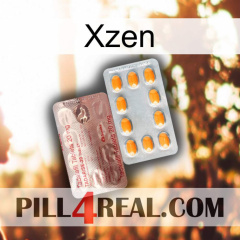 Xzen new13